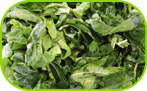 Spinach cut